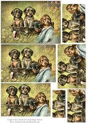Basket of Puppies - Pyramid