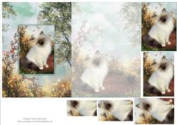 Graceful Kitten on the Terrace - Foldback Card