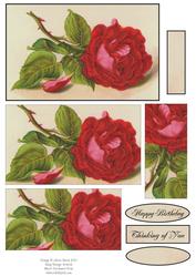 Single Red Rose - Pyramid
