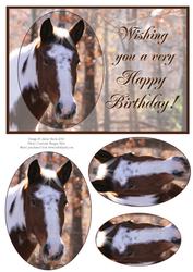 Autumn Paint Horse - Birthday Pyramid Card
