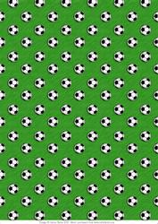 Football on the Field - Background Paper