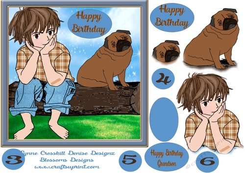 Birthday Boy age 3 to 6
