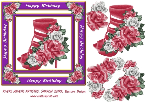 Birthday shoe 3