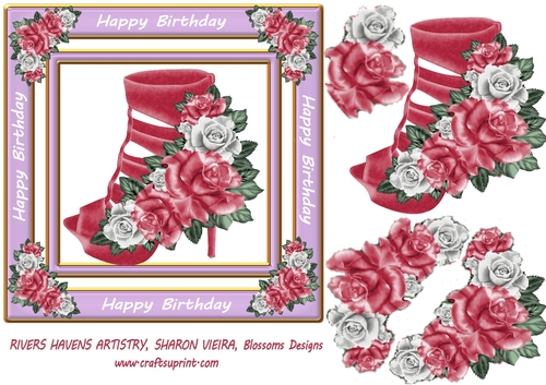 Birthday shoe 4