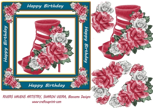Birthday shoe 5