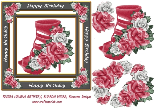 Birthday shoe9