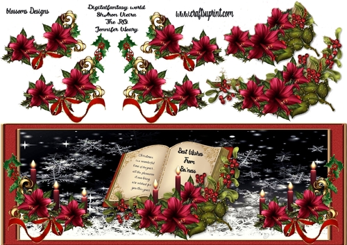 Large DL Christmas From Boness