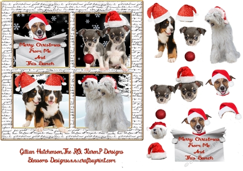 Dog merry Christmas