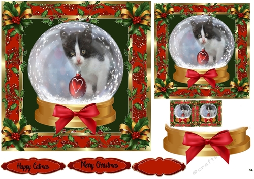 Christmas globe Animals cat 2