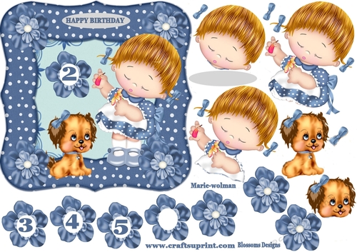 Little girl birthday blue