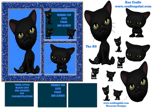 Black cats for luck blue