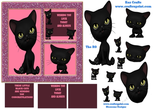 Black cats for luck pink