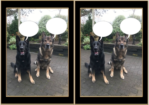 German Shepherd toppers blank tags to add your own greeting