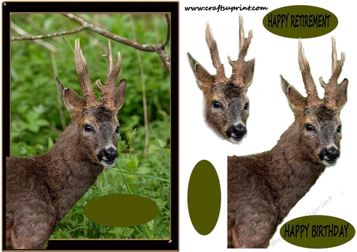 Deer Birthday or Retirement plus a blank tag