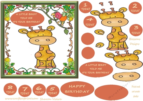 safri  birthday 1 to 8 plus blank tags