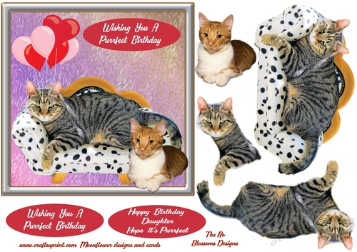 Birthday cats 
