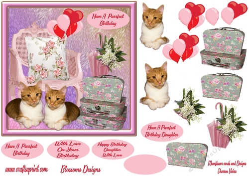 Birthday cats female or Daughter 