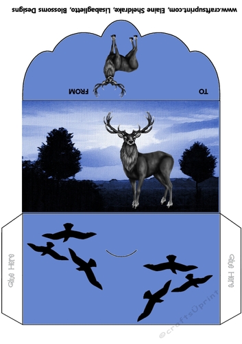 Male money wallet