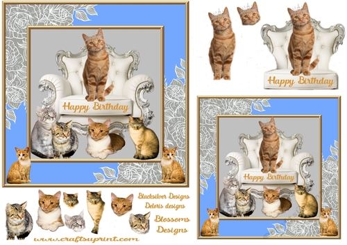 Ginger cats Birthday 1