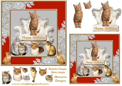 Ginger cats Birthday 2