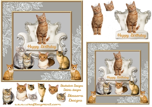 Ginger cats Birthday 4