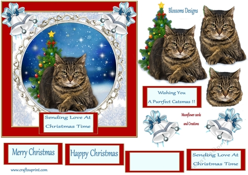 A Catsmas Christmas 1