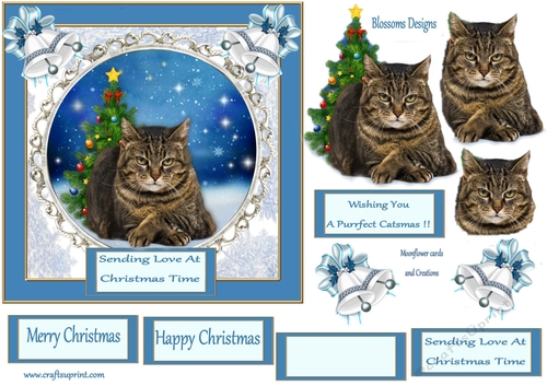 A Catsmas Christmas 2