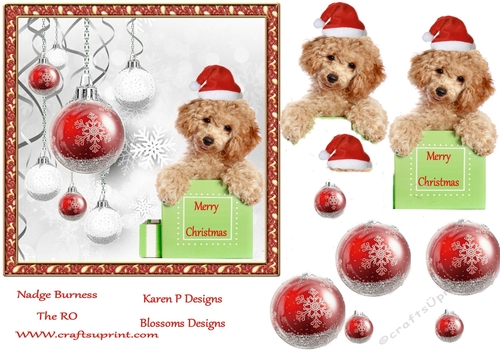 Cute dog Christmas