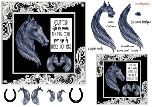 Horse birthday 2
