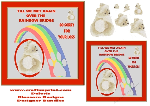 Dog sympathy 6