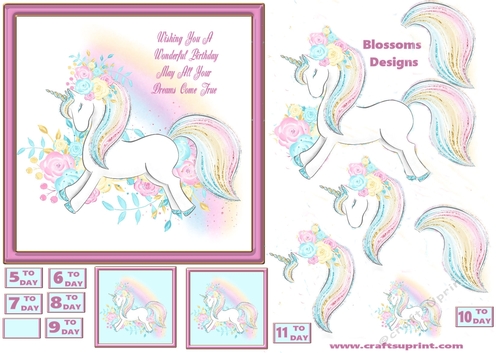 Magical Unicorn 5 to 11 yrs or blank 