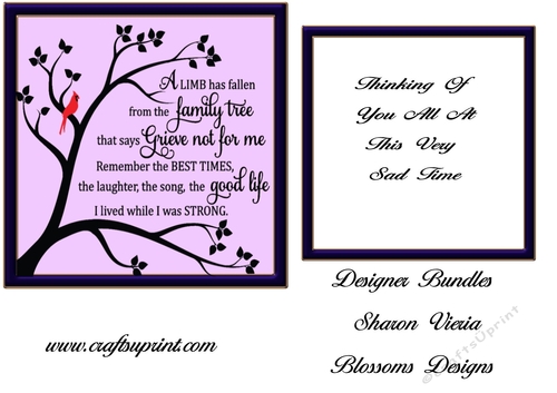 Sympathy design card and insert pink
