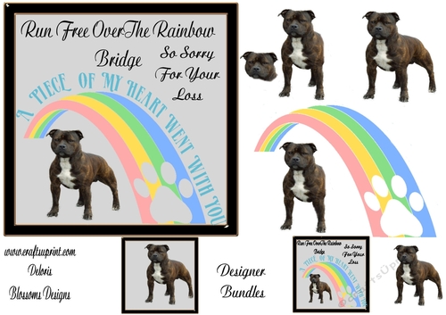 Sympathy dog Staffordshire Bull  