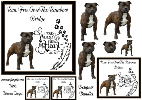 Sympathy dog Staffordshire Bull  2