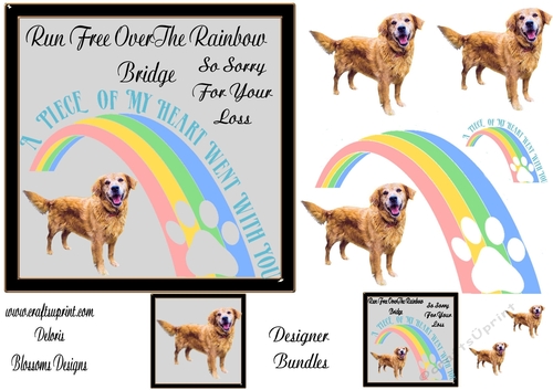 Sympathy dog Golden Retriever