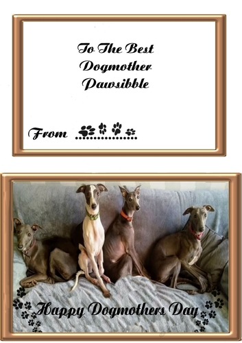 DOG MOTHERS DAY 