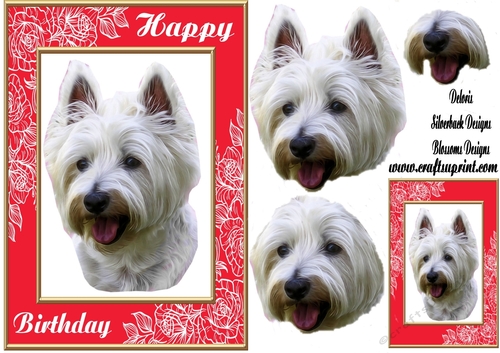 Happy Birthday dog 
