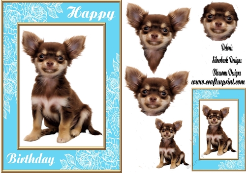 Happy Birthday dog Chihuahua