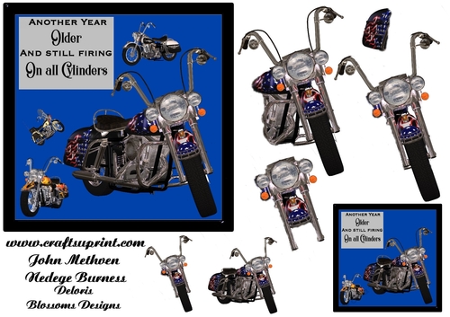 Biker birthday 4