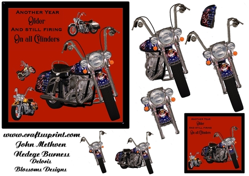 Biker birthday 5