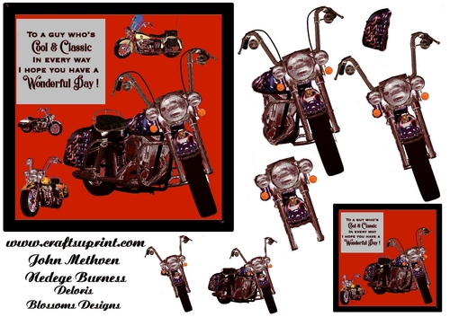 Biker birthday 6