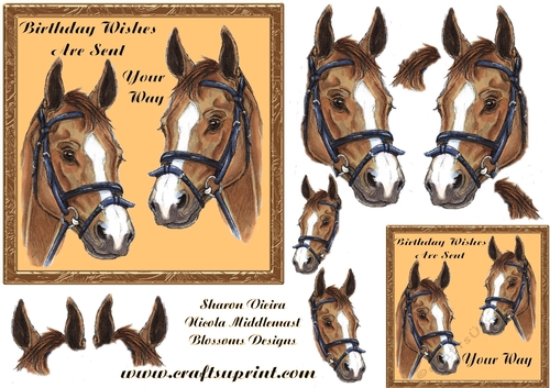 Horse birthday1