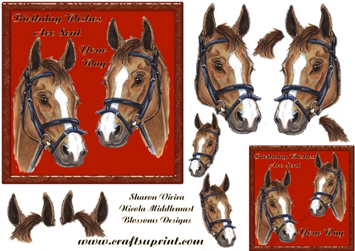 Horse birthday 2