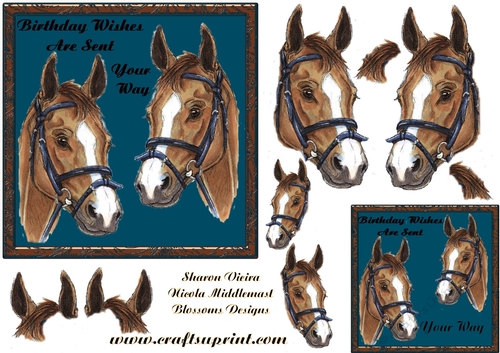 Horse birthday 3
