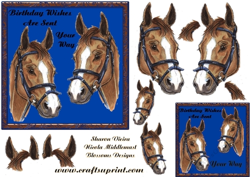 Horse birthday 4