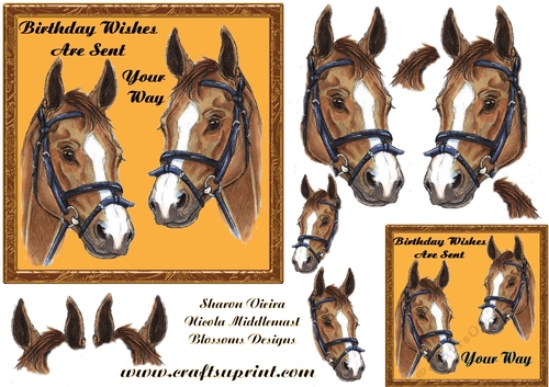 Horse birthday 5