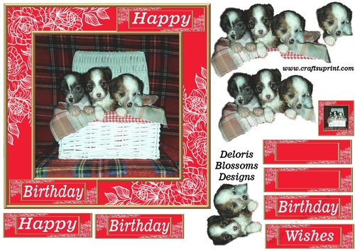 Puppy birthday 1