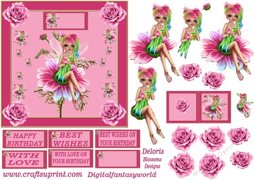 Pink fairy 