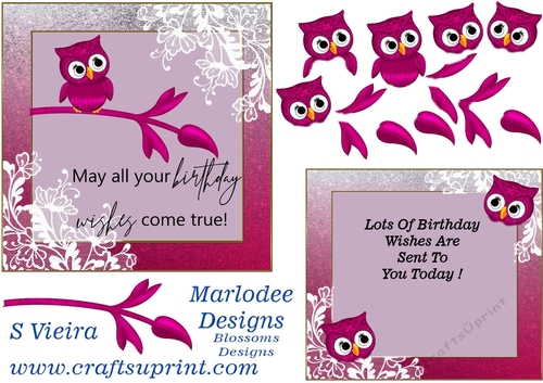 Owl Birthday 1