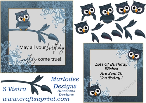 Owl Birthday 2 